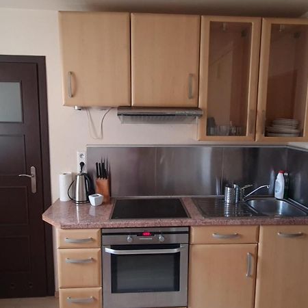 Apartament Czarny Potok Krynica Zdroj Eksteriør billede
