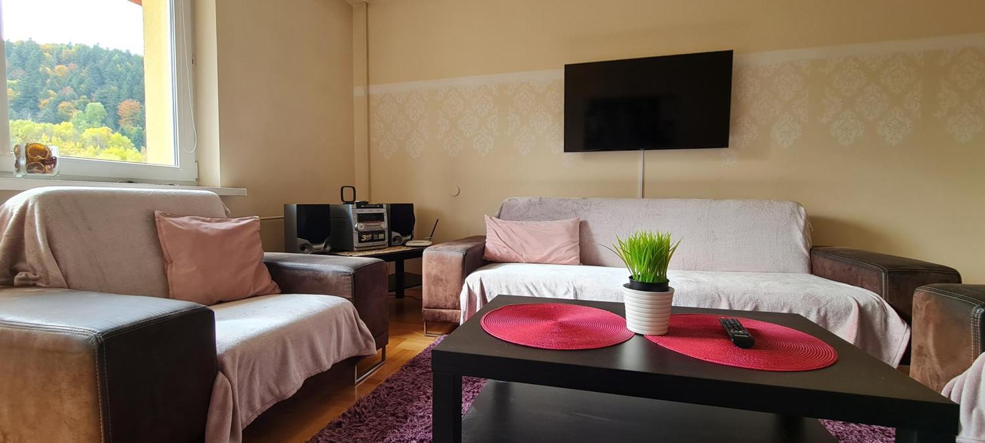 Apartament Czarny Potok Krynica Zdroj Eksteriør billede