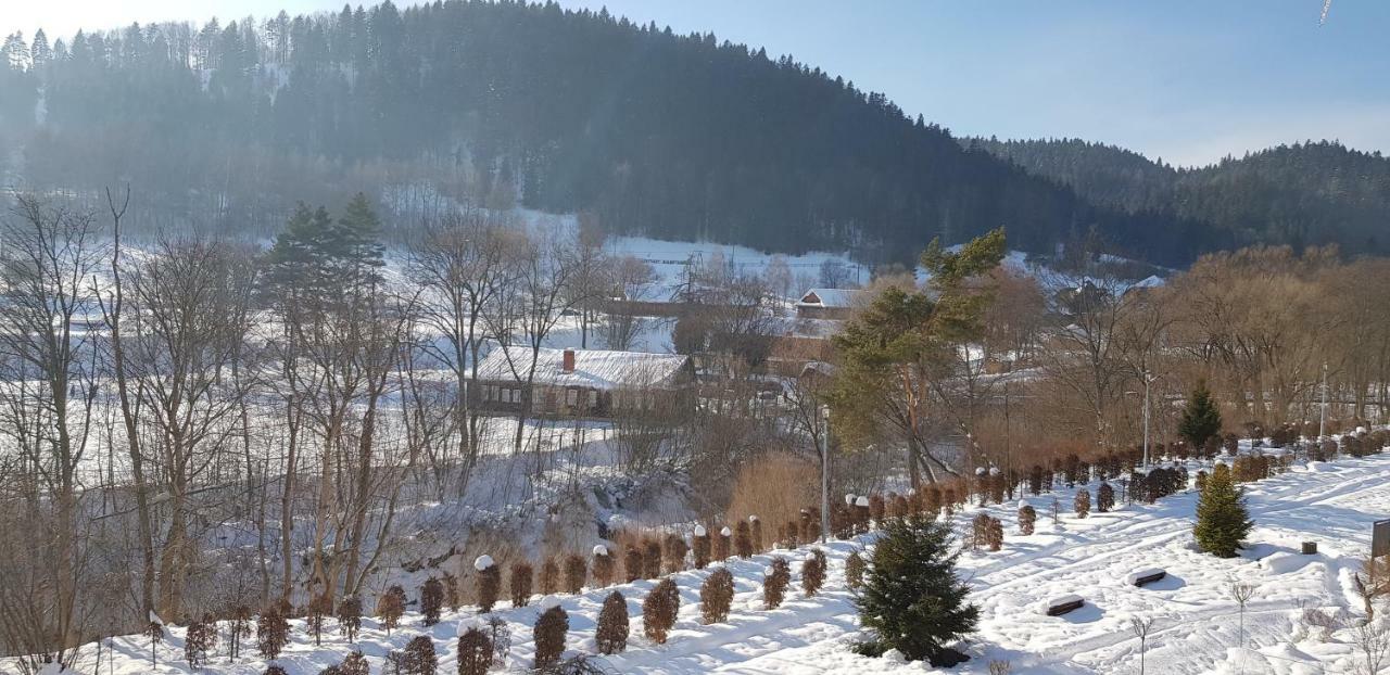 Apartament Czarny Potok Krynica Zdroj Eksteriør billede
